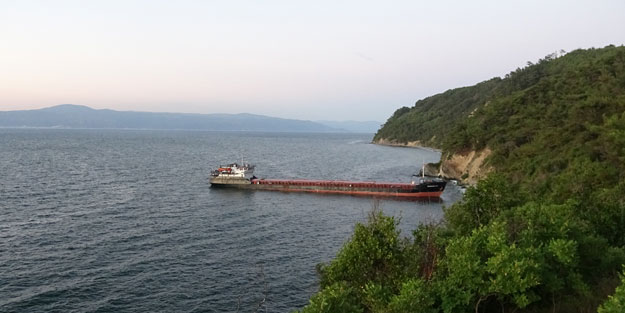 Kaptan uyudu, gemi karaya oturdu