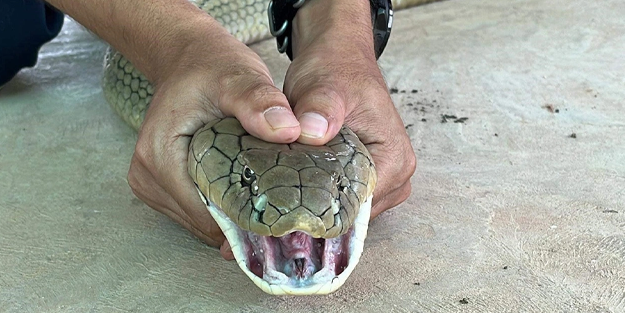 Kaputu açınca hayatının şokunu yaşadı!