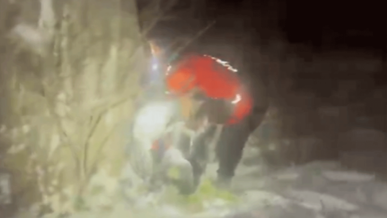 Kar altında mucize! Naciye teyze hayvanlarına sarılarak hayatta kaldı