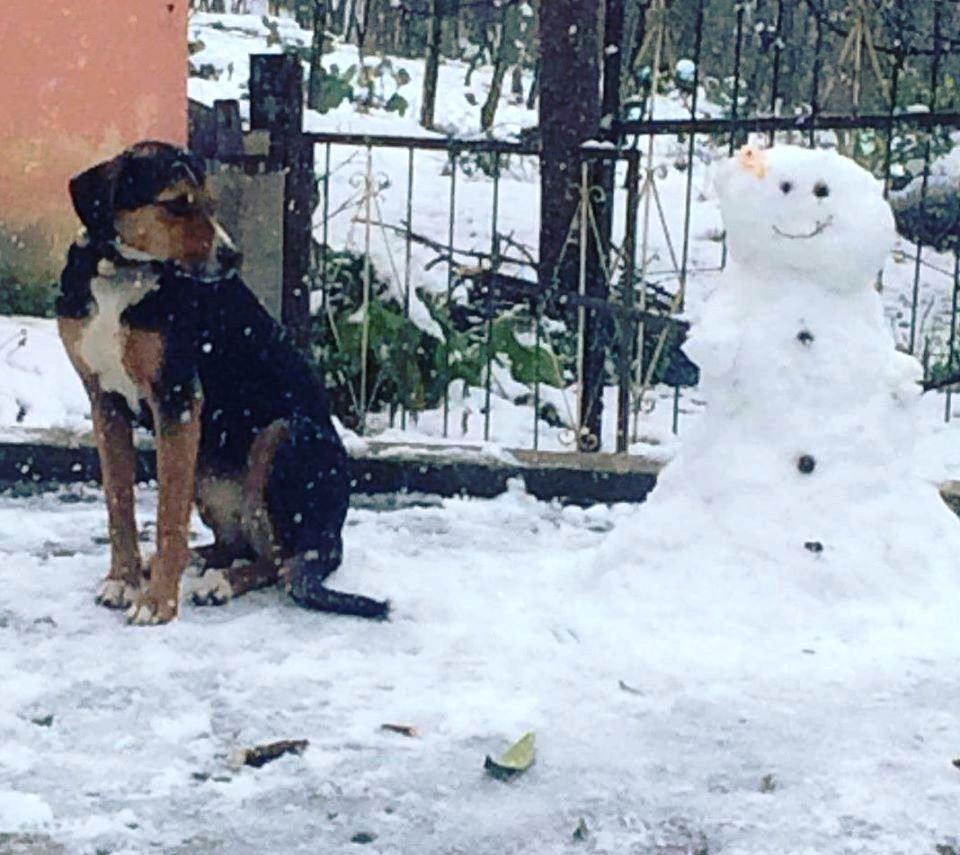 Kar en çok çocukları sevindirdi 