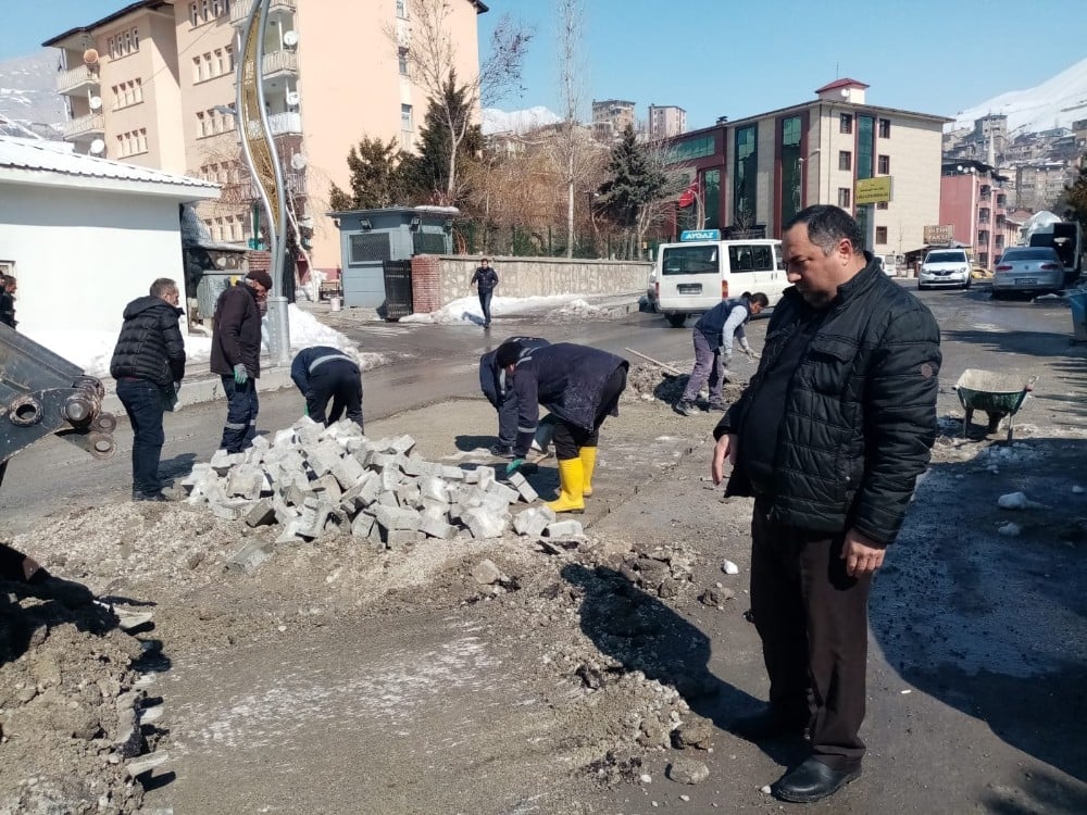 Kar, Hakkari altyapısına büyük zarar verdi 