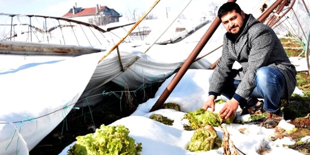 Kar seraları vurdu, çiftçi zararda!