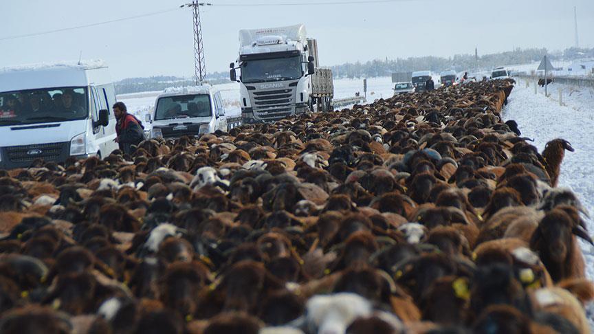Kar yağışı başladı göçerler yola düştü