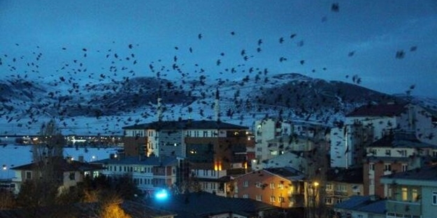 Kar yağışı ile birlikte kentin üzerine kâbus gibi çöktü!