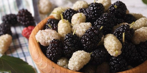 Kara dut ve beyaz dutun sağlığa 6 süper faydası