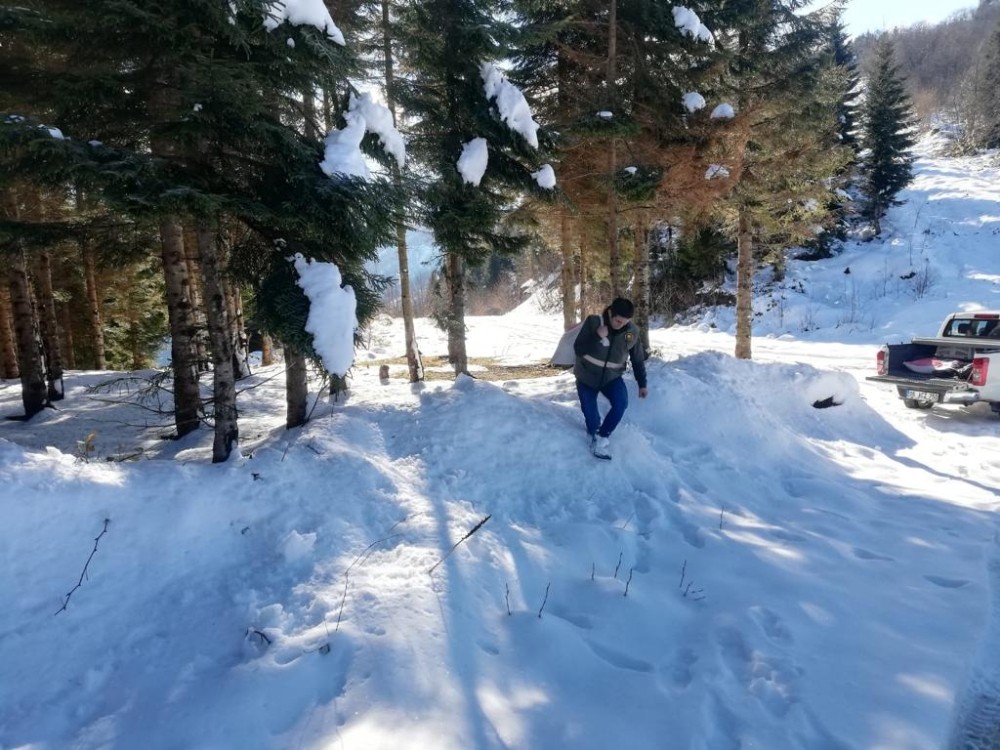 Kara kışta yaban hayatı unutulmadı 
