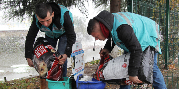 Kara kıştan en çok onlar etkileniyor!