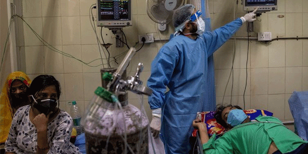 Kara mantar bitmeden şimdi de yeşil mantar hastalığı çıktı