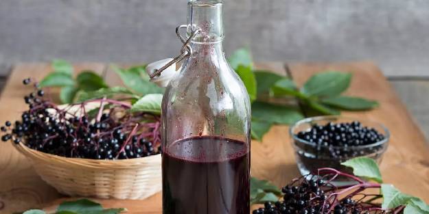 Kara mürver nedir? Faydaları nelerdir?