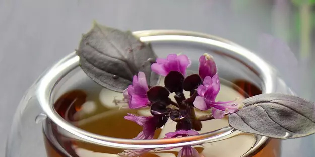 Karabaş otu: sağlık sorunlarına alternatifsiz kalmayın!