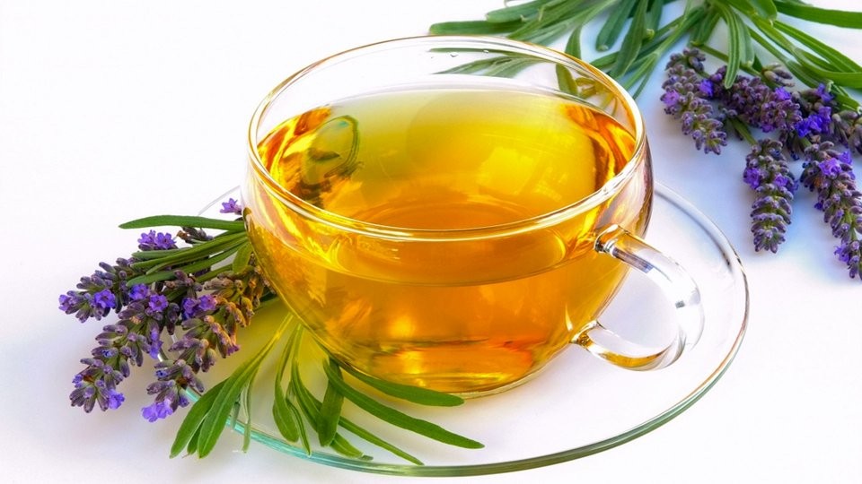 Karabaş otunun bilinmeyen faydaları: Enfeksiyonun kökünü kazıyor!