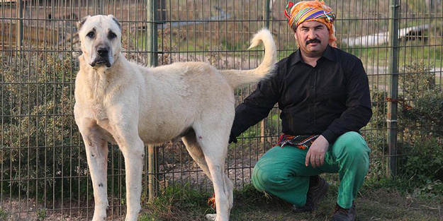 'Karabaş' ve 'Akbaş' ABD yolcusu