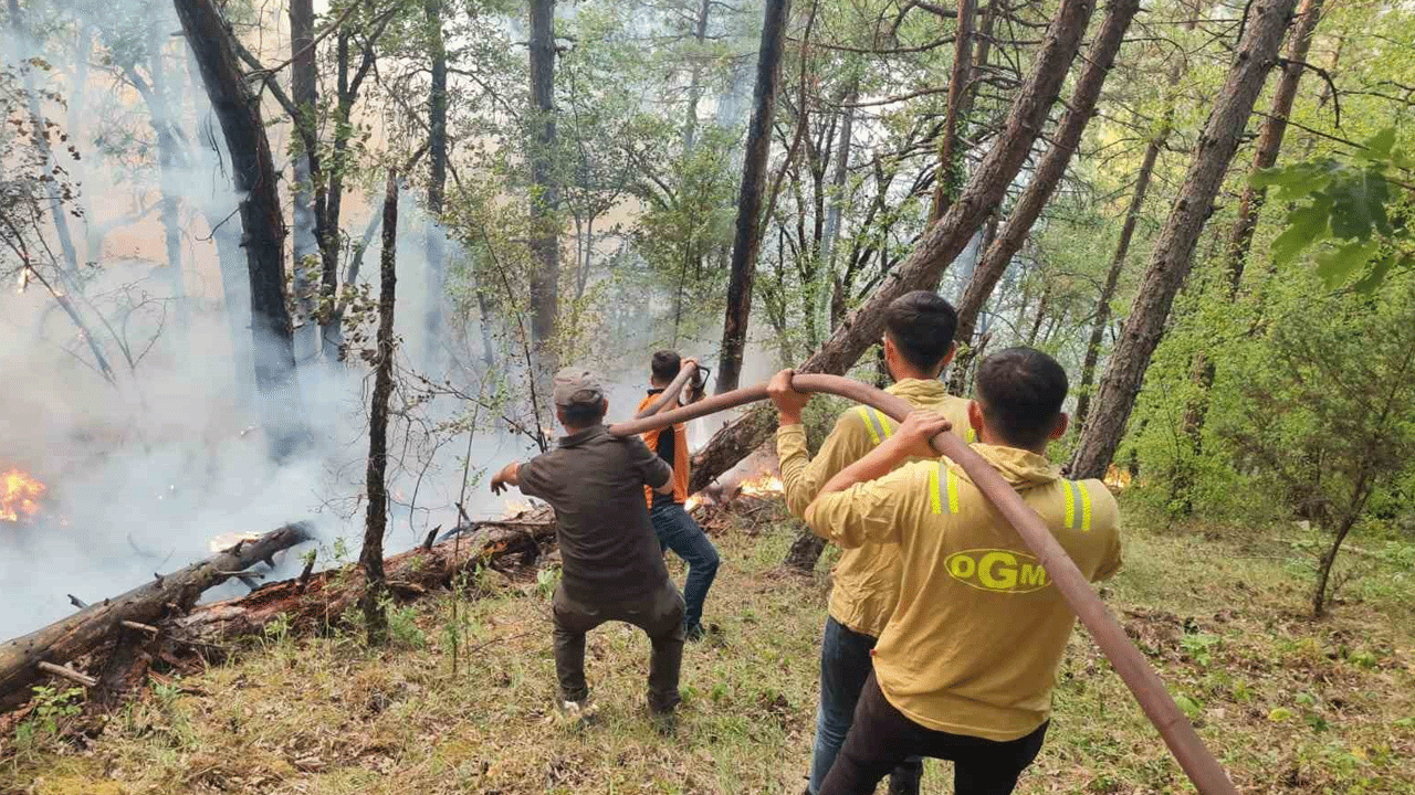 Karabük'te 1 helikopter, 63 araç ve 205 personel orman yangıyla mücadele ediyor