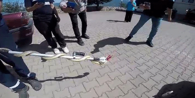 Karabük'te araca giren yılan korkuya sebep oldu!