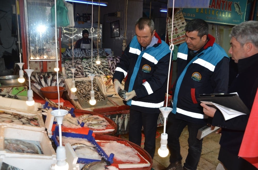 Karabük’te balık tezgahlarında denetim yapıldı 