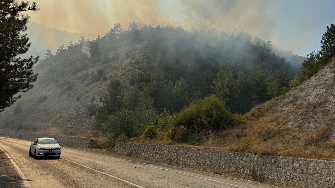 Karabük'te bir orman yangını daha