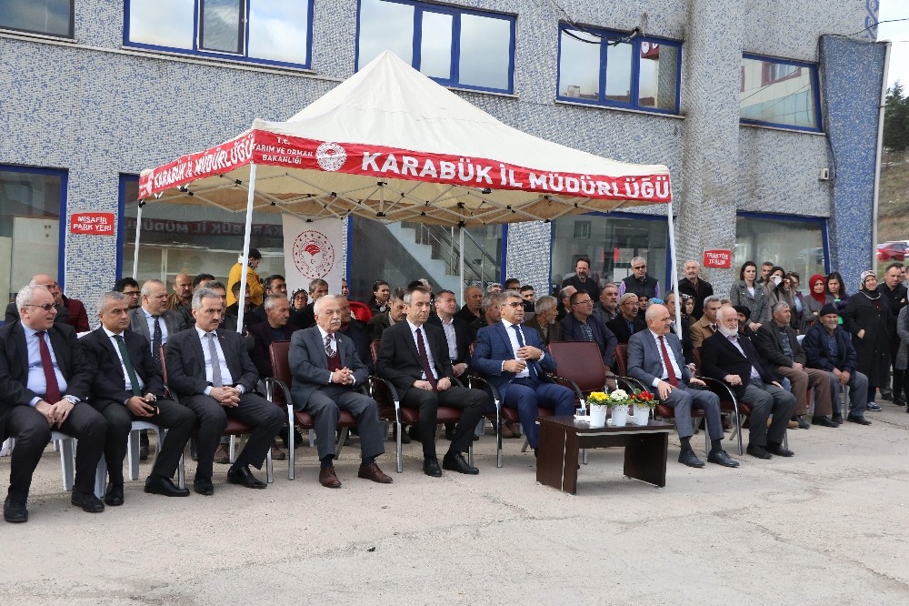 Karabük’te çiftçilere 6 bin 500 meyve fidanı dağıtılmaya başlandı 
