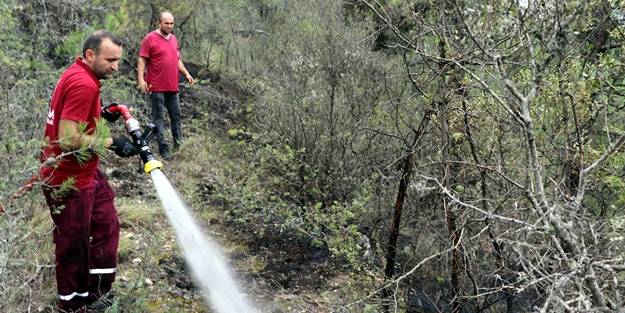 Karabük'te çıkan orman yangını büyümeden söndürüldü