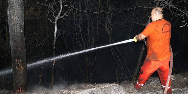 Karabük'te orman yangını kontrol altına alındı