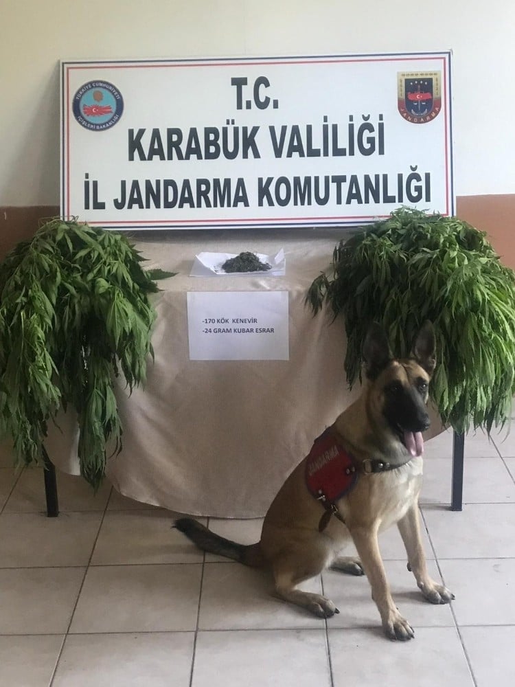 Karabük’te uyuşturucu operasyonu 