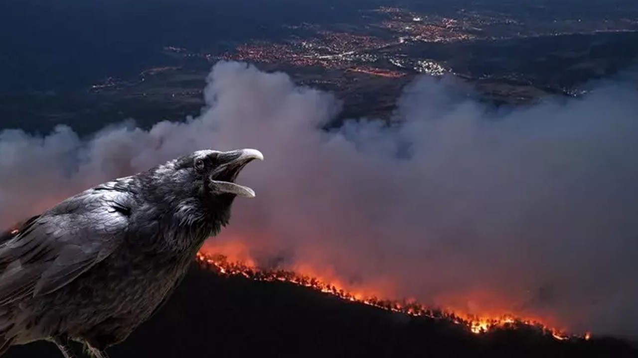 Karabük'te yangın kontrol altında: Çıkış nedeniyle ilgili çarpıcı karga iddiası