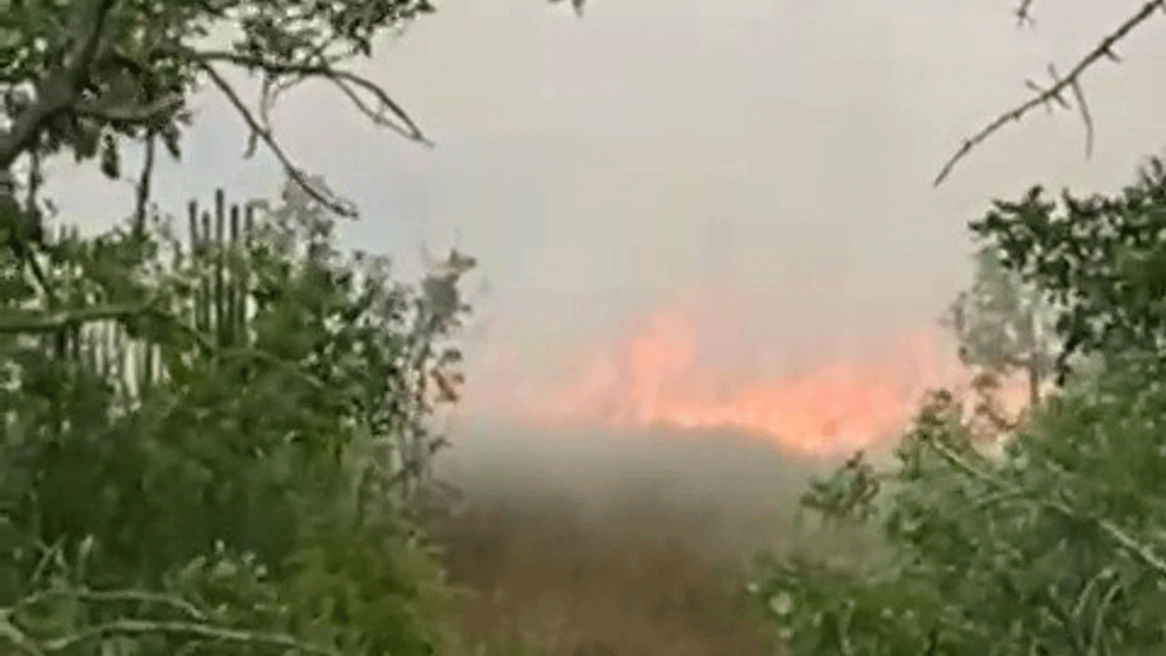 Karabük'ten yüreklere su serpen haber