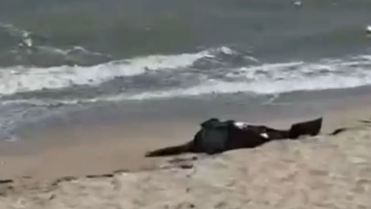 Karaburun sahilde korkutan görüntü! Kıyıya vurmuş halde bulundu