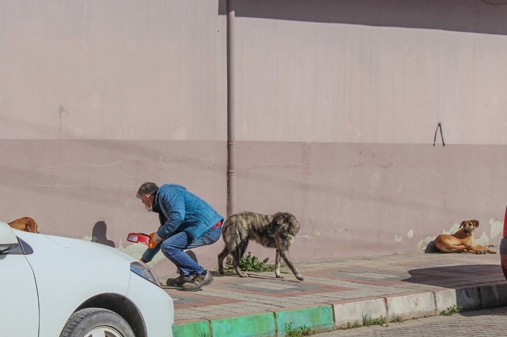 Karacabey, can dostları unutmuyor 