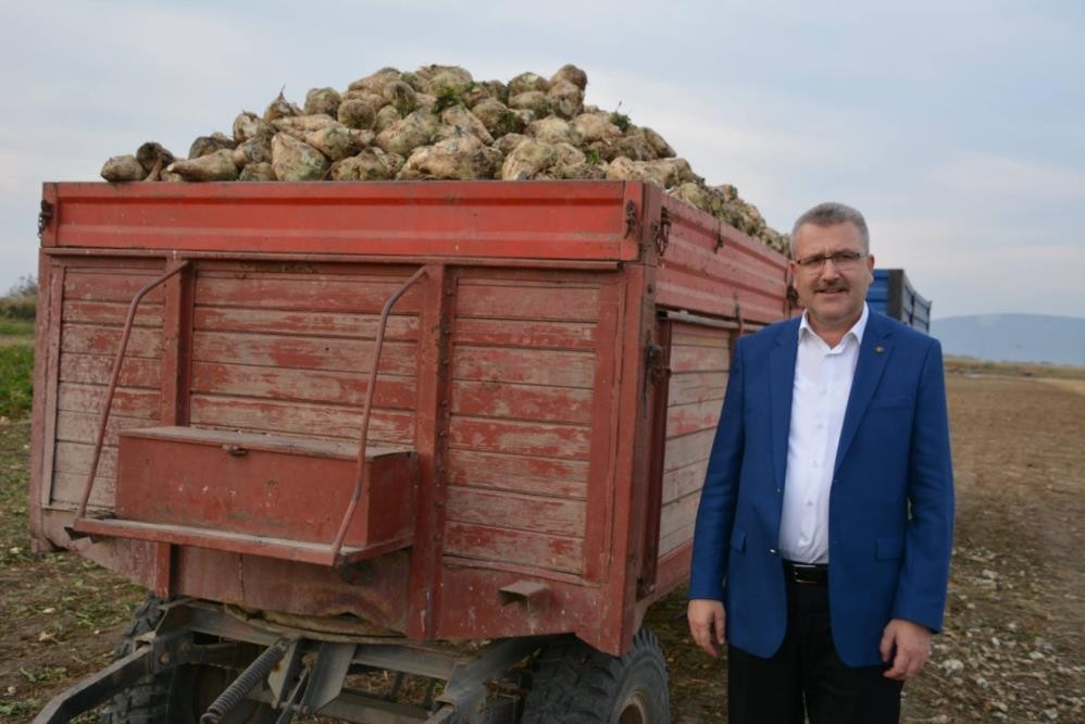 Karacabey TİGEM arazisinde şeker pancarı hamlesi