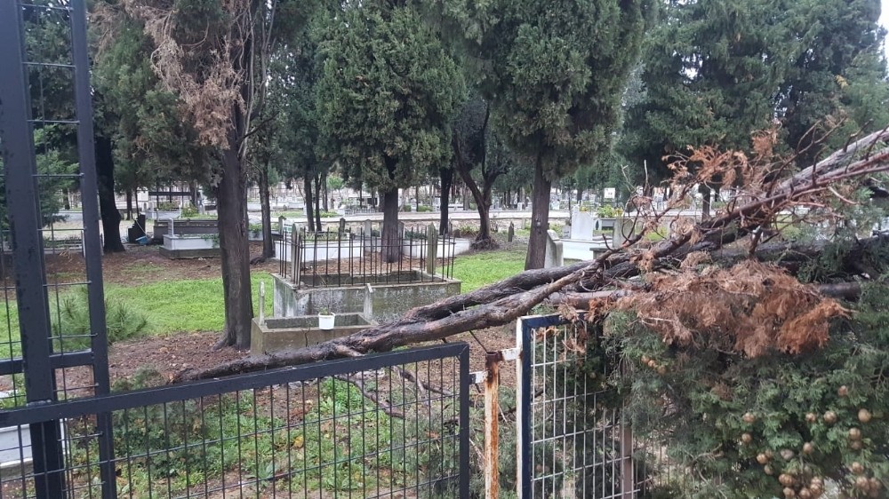 Karacabey’de fırtına ağaçları devirdi 