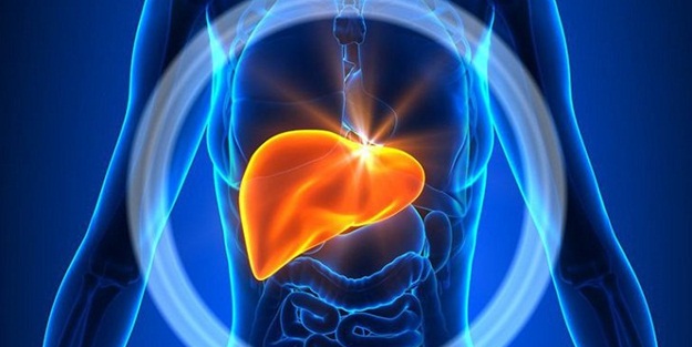 Karaciğer hasarının erken belirtileri nelerdir? Bu belirtiler karaciğer rahatsızlığının işareti