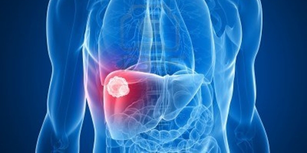 Karaciğer sağlığı için bu belirtilere dikkat!