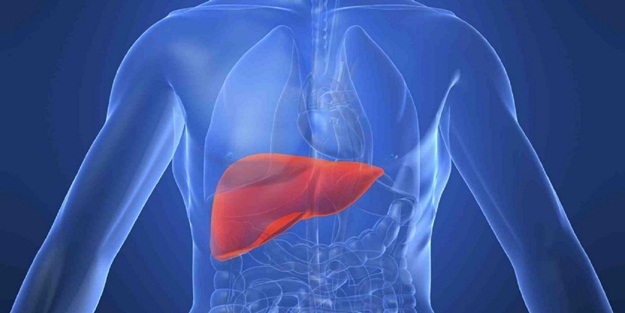 Karaciğer sağlığını korumak için neler yapmak gerekir?