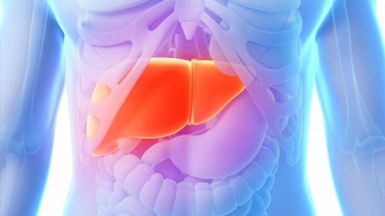 Karaciğer yağlanmasına önemli uyarı!