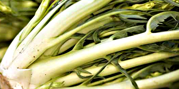 Karaciğer yağlanmasını rehabilitasyon ediyor: Çürüyen karaciğerin gıda mühendisi! İlaçların en büyük rakibi