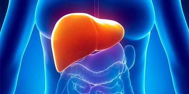 Karaciğeri temizleyen besinler