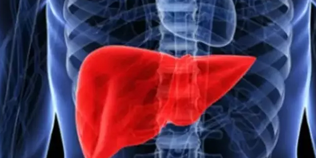 Karaciğeri temizleyen doğal karışım nasıl yapılır?