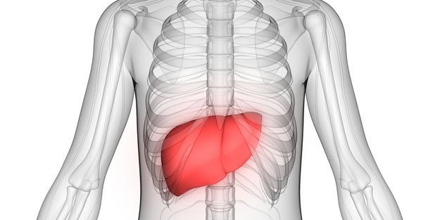 Karaciğerinize iyi bakın