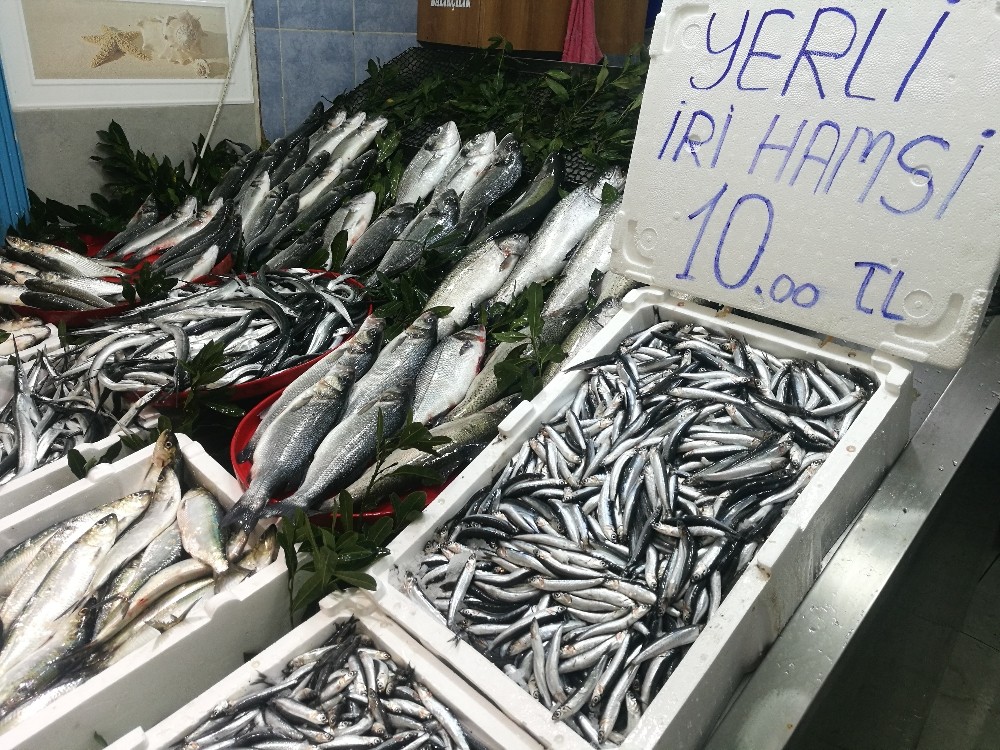 Karadeniz hamsisi 10 liradan tezgahlarda 
