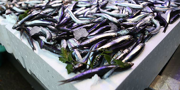 Karadeniz hamsisi tezgâhlara düştü! İşte fiyatı...