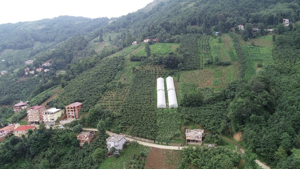 Karadeniz insanını zorluklar hiç yıldırmıyor 