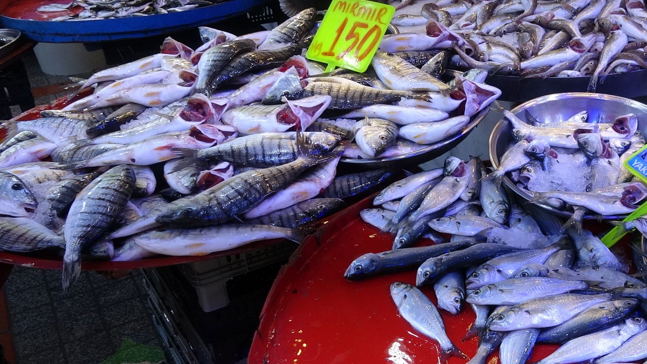 Karadeniz ısındı, tezgahlar değişti