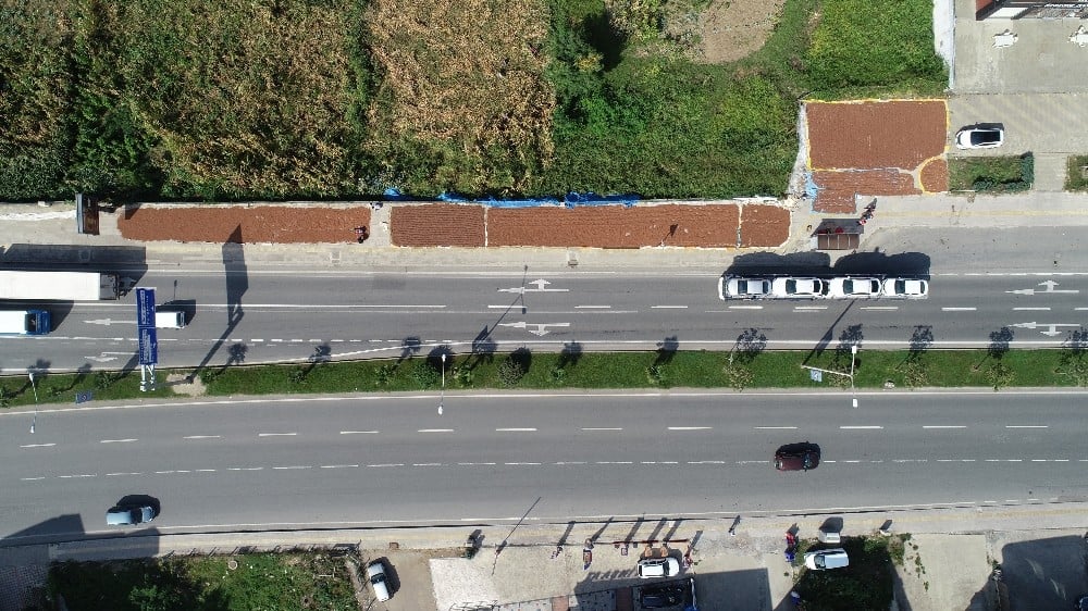 Karadeniz Sahil Yolu fındık harmanı oldu 
