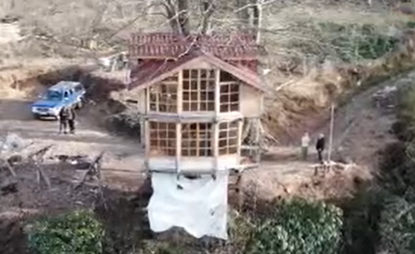 Karadeniz zekası iş başında! 150 yıllık ağaç 2+1 ev oldu