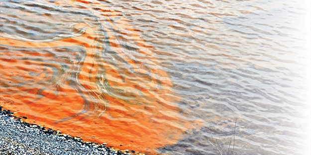 Karadeniz, kızıl tabakayla kaplandı
