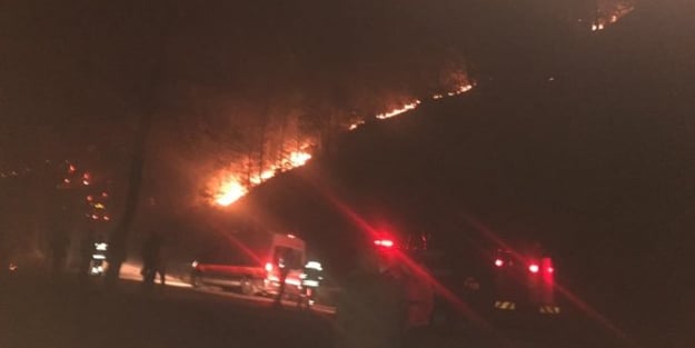 Karadeniz resmen yanıyor! Alevler geceyi aydınlattı