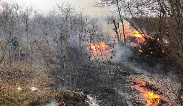Karadeniz'de 5 ilde 71 noktada yangınlar sürüyor