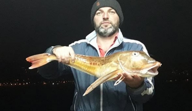 Karadeniz'de balıkçıların ağlarına takıldı! Hemen sattılar