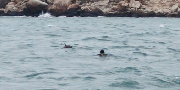 Karadeniz'de büyük tehlike! Patlamaya hazır mayın bulundu