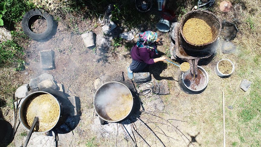 Karadeniz'de 'dut pekmezi' mesaisi başladı